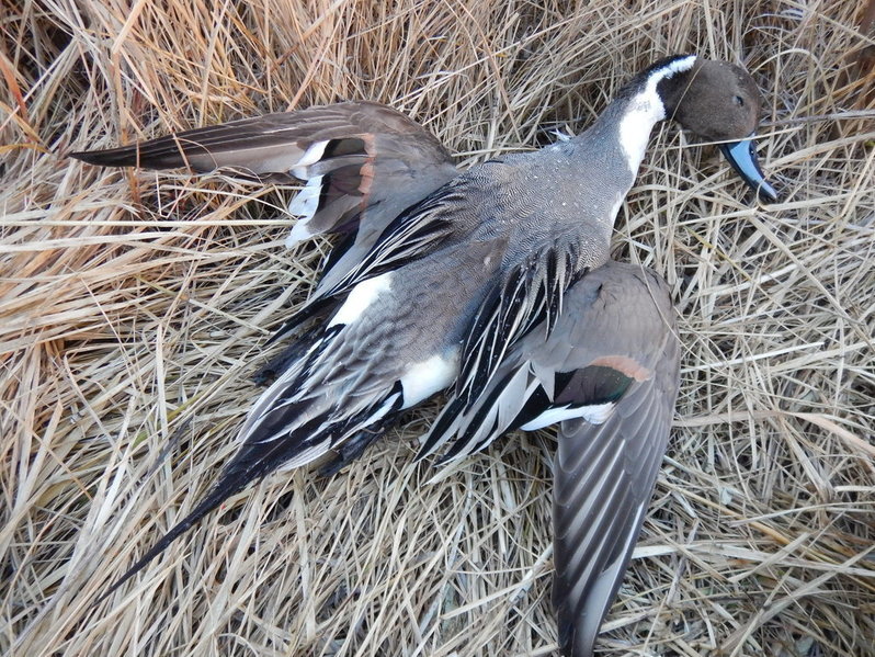 DSCN5651.jpg