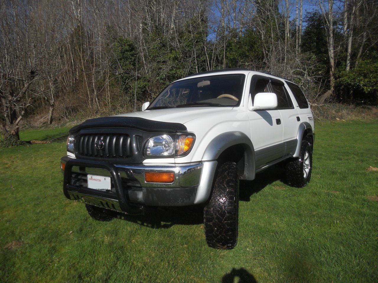 DSCN6595.jpg