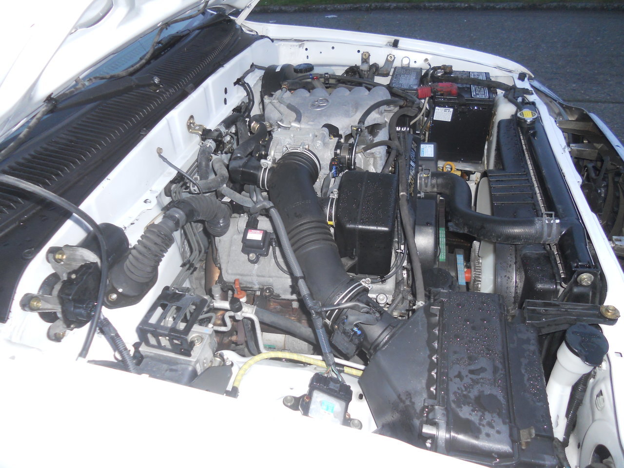 DSCN6629.jpg