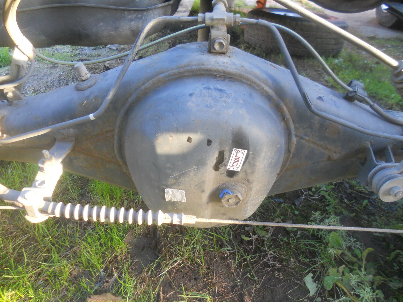 DSCN7106.jpg