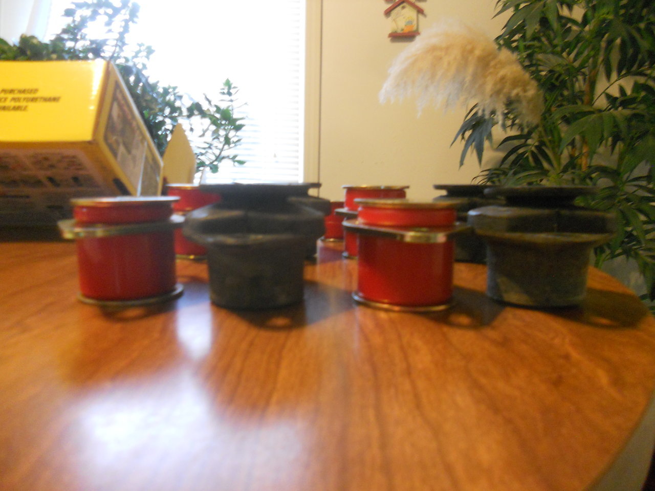 DSCN7456.jpg