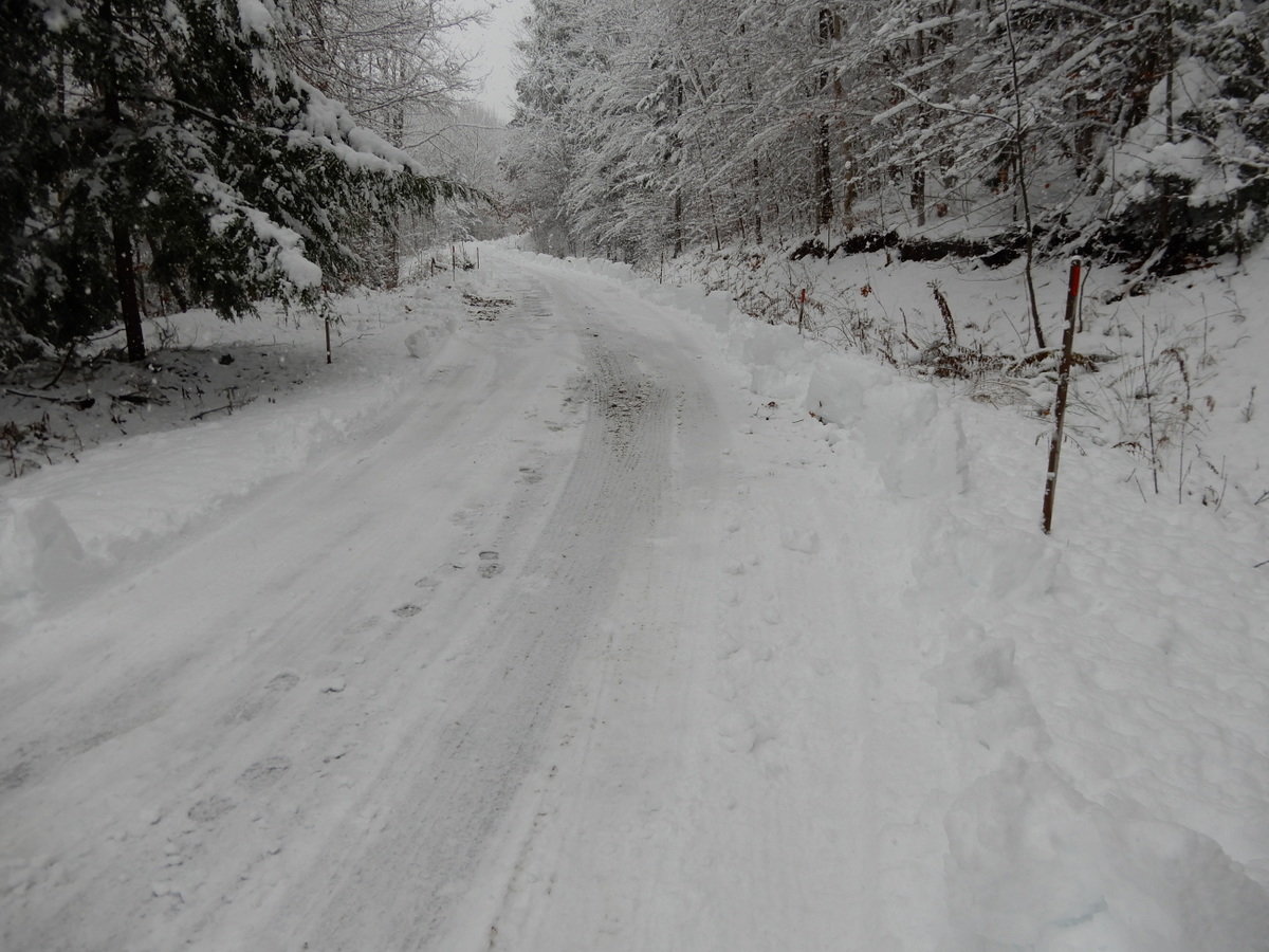 DSCN7952.jpg