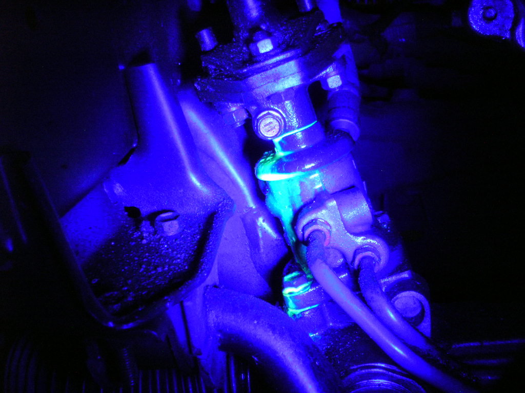 DSCN8200.jpg