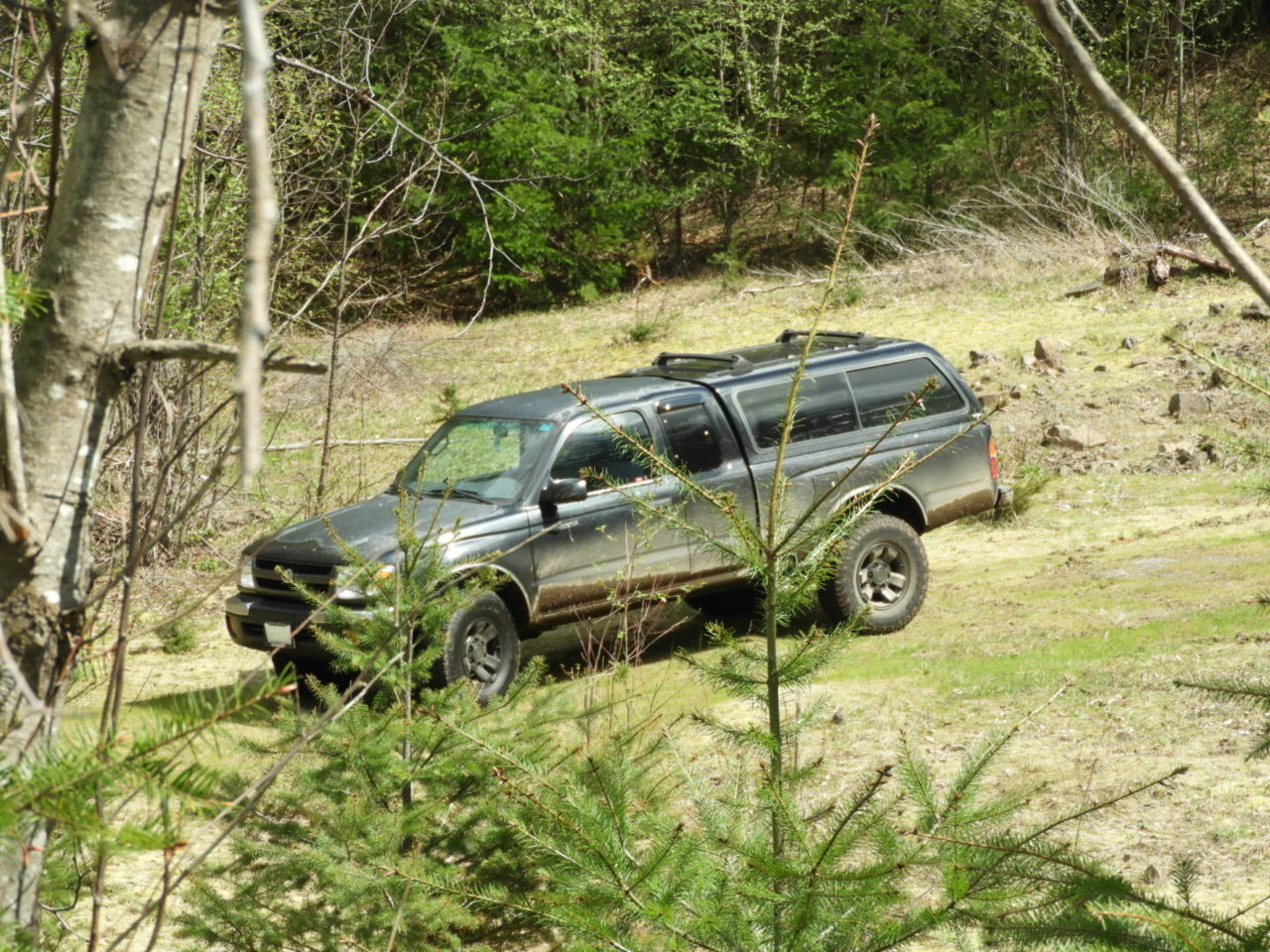 DSCN8239.jpg