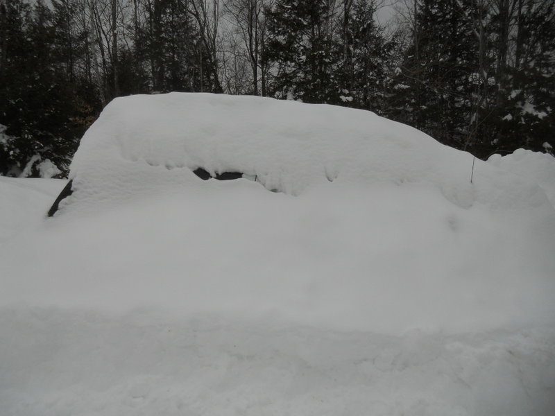 DSCN8583.jpg
