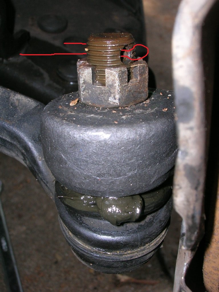 DSCN8619.jpg