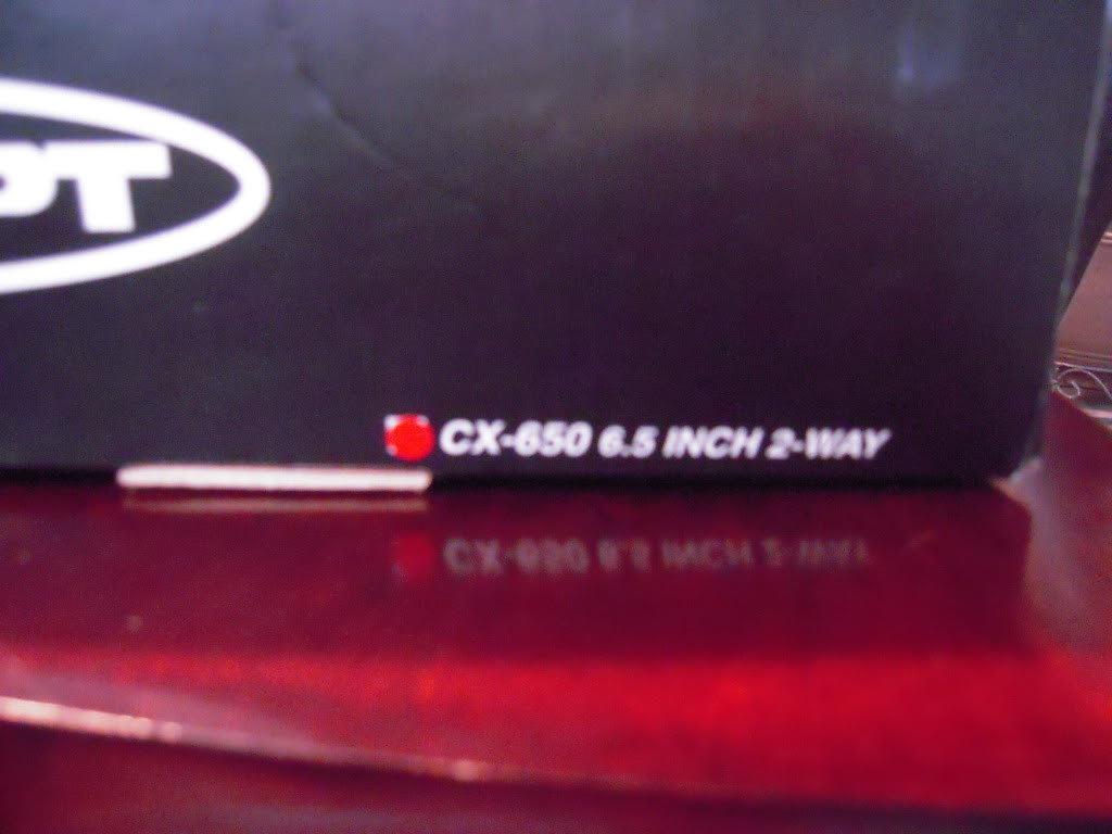 DSCN9493_c913decb0aa676a25f8541462029b2b70aea46c4.jpg