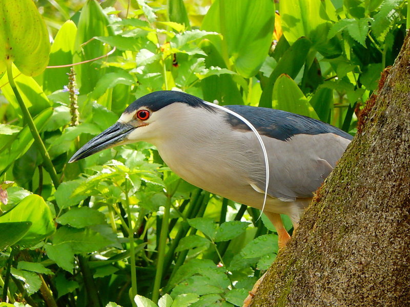 DSCN9637.jpg