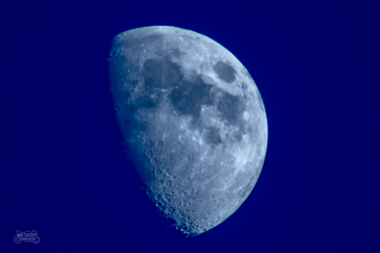 DSD_2338.jpg