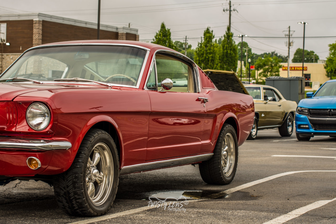 DSD_2979.jpg