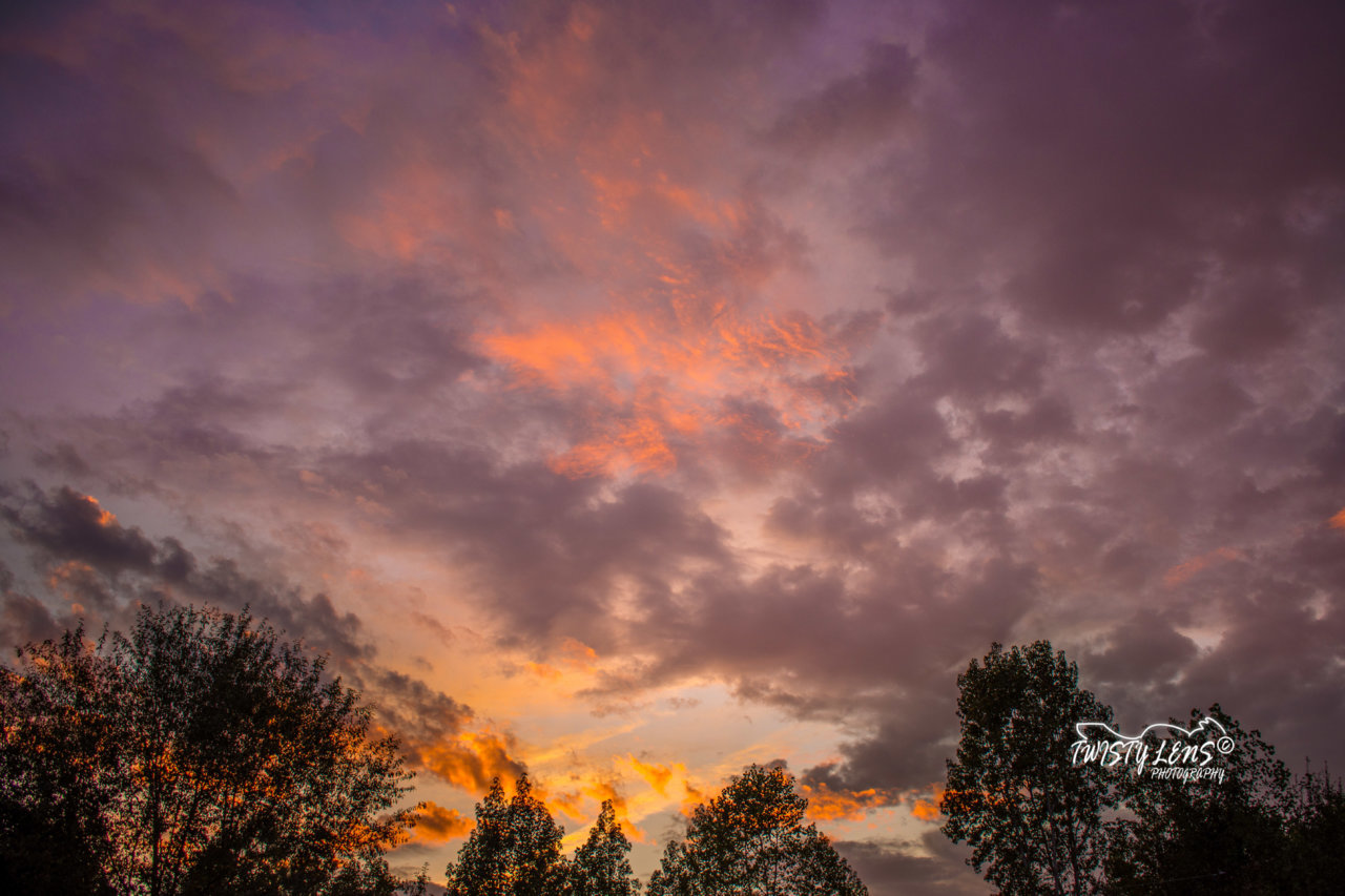 DSD_4815.jpg