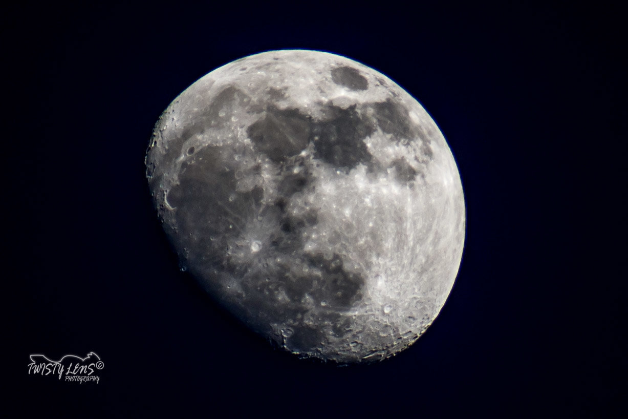 DSD_6276.jpg