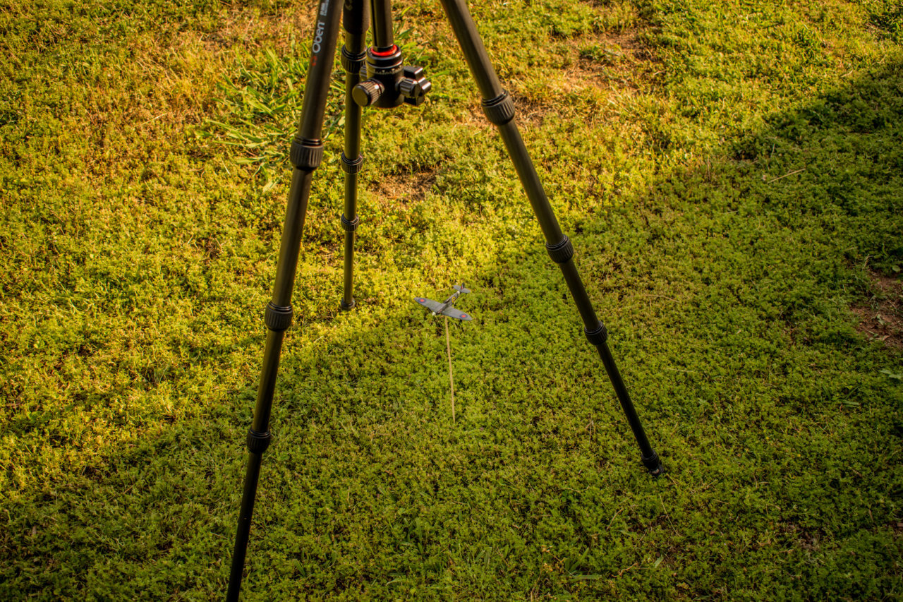 DSD_7486.jpg