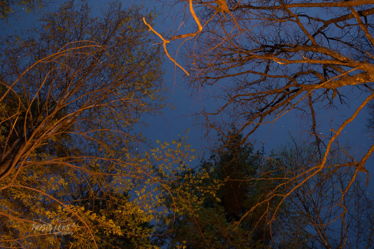 DSE_2647.jpg