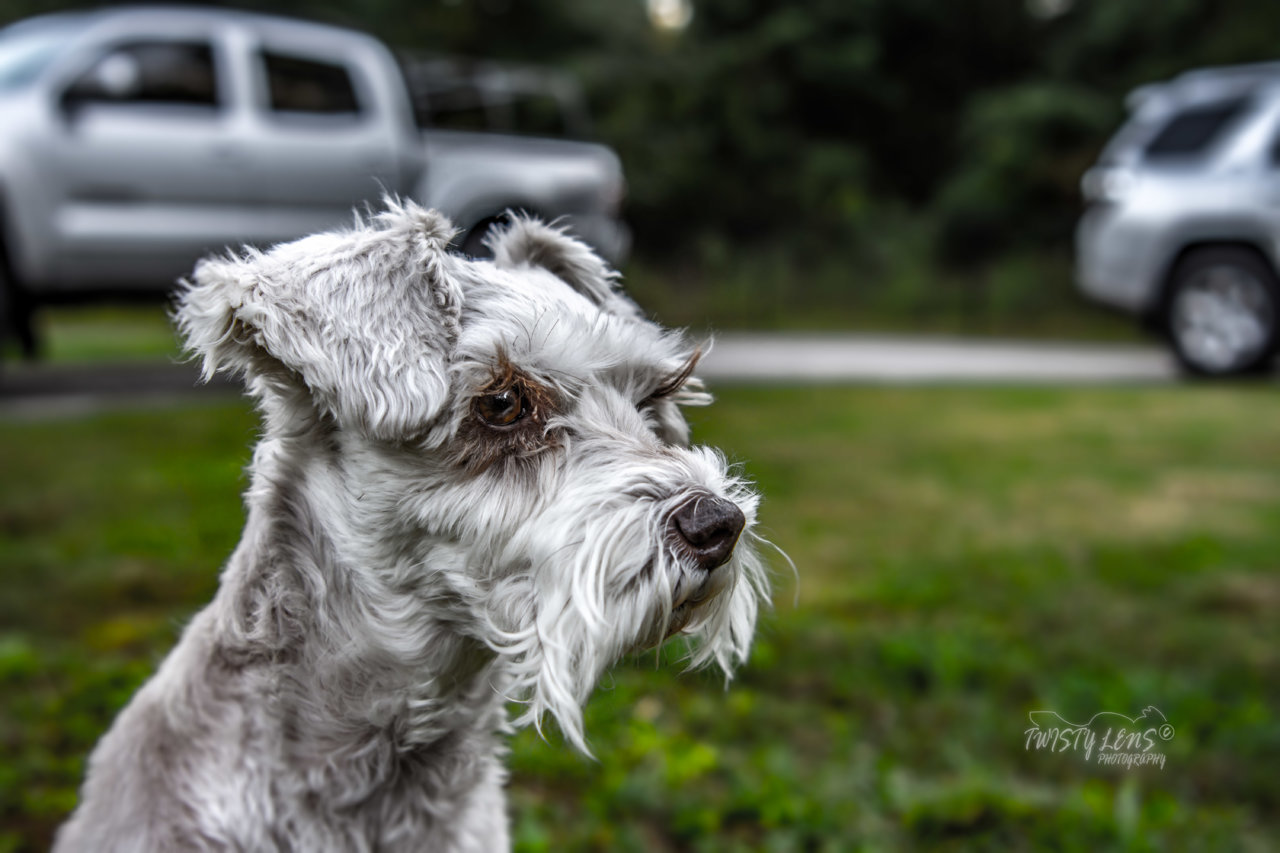 DSE_4644-Edit.jpg
