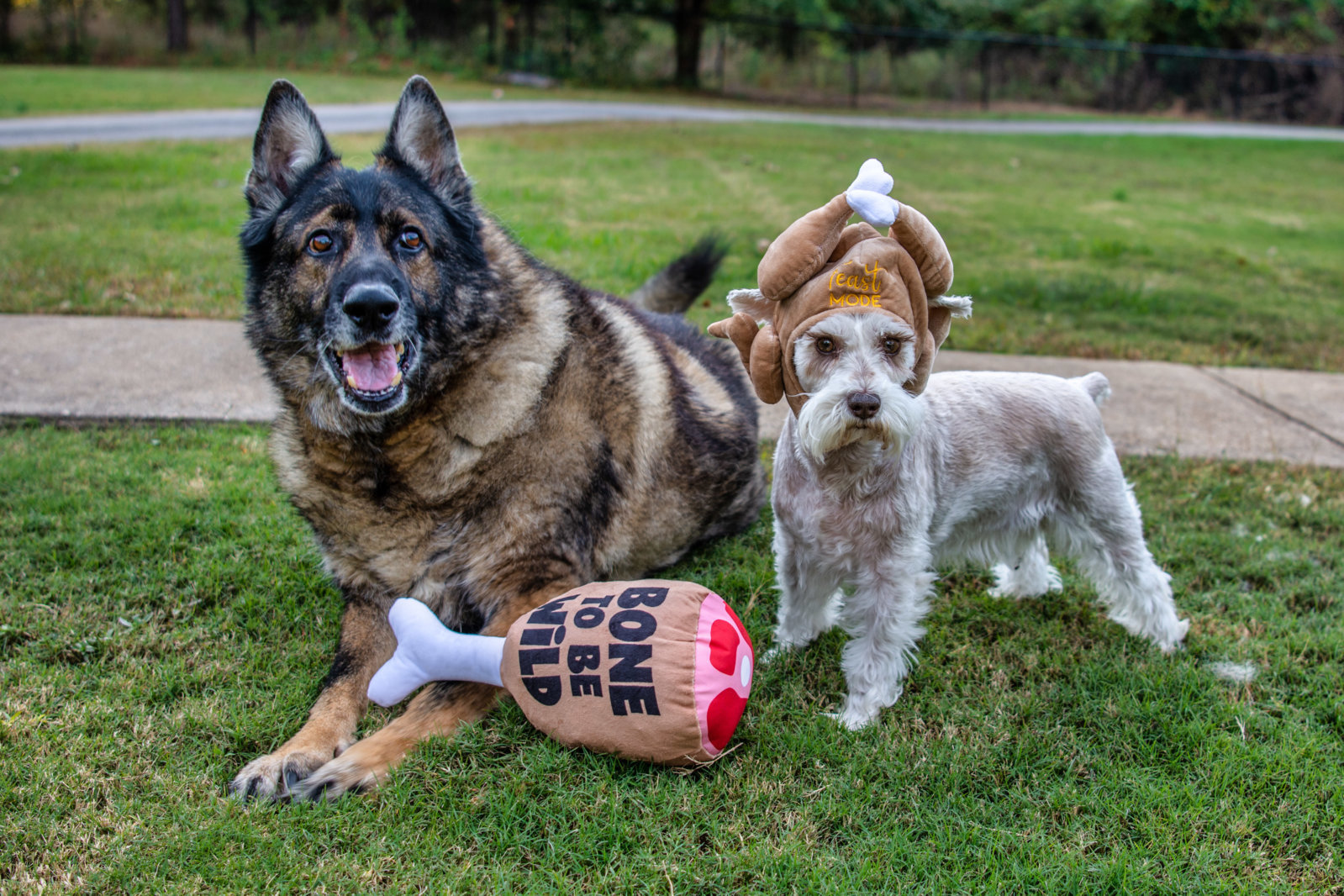 DSE_5155-Edit.jpg