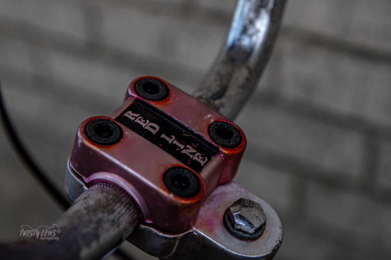 DSE_6350.jpg