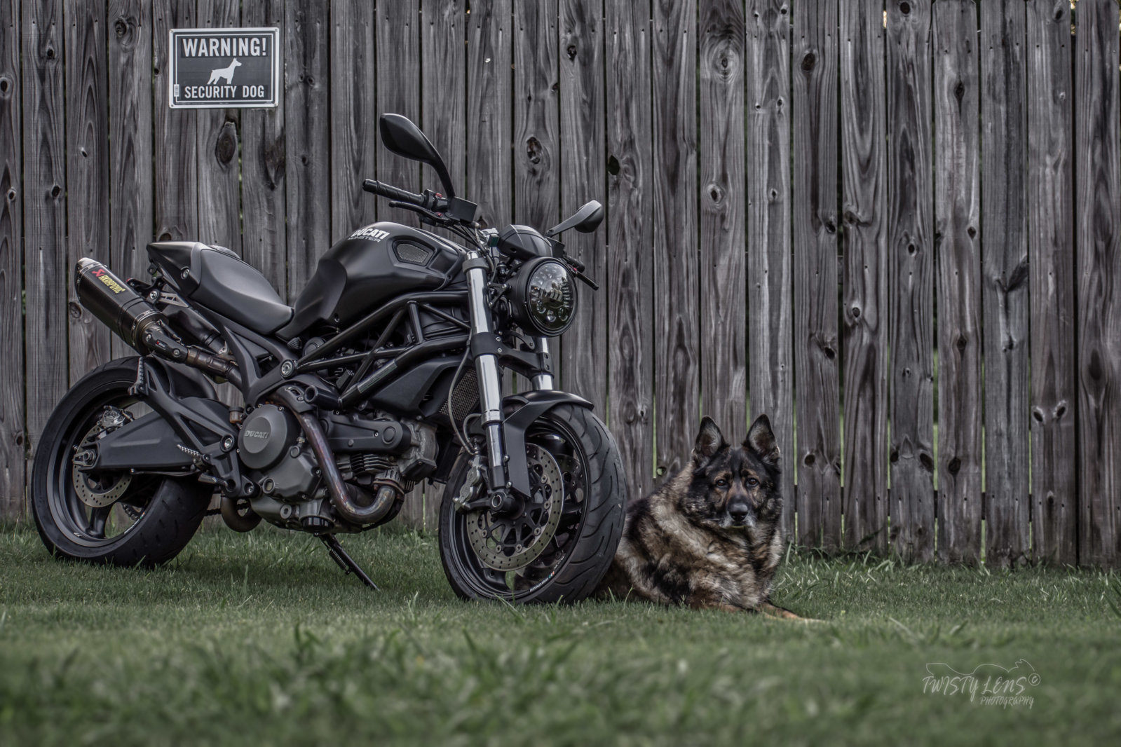 DSE_7553-Edit-Edit.jpg