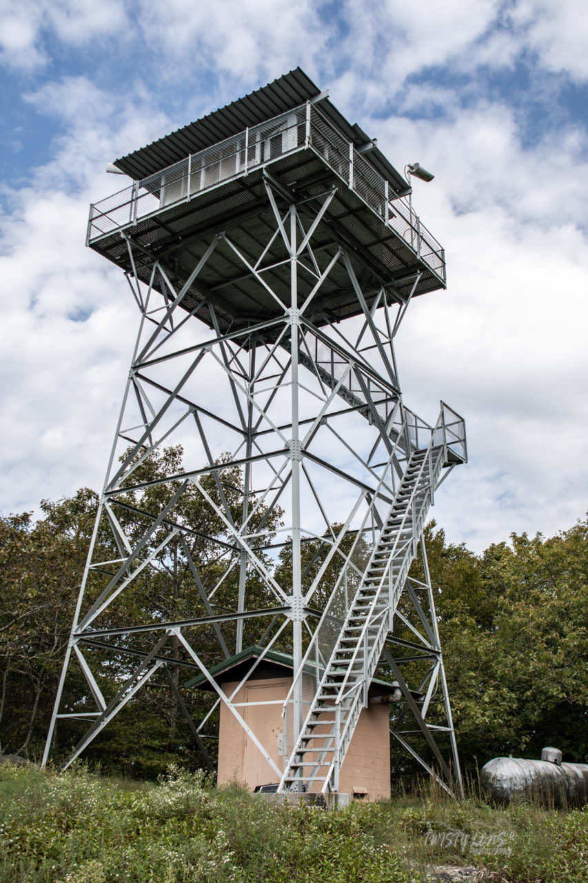 DSE_8194.jpg
