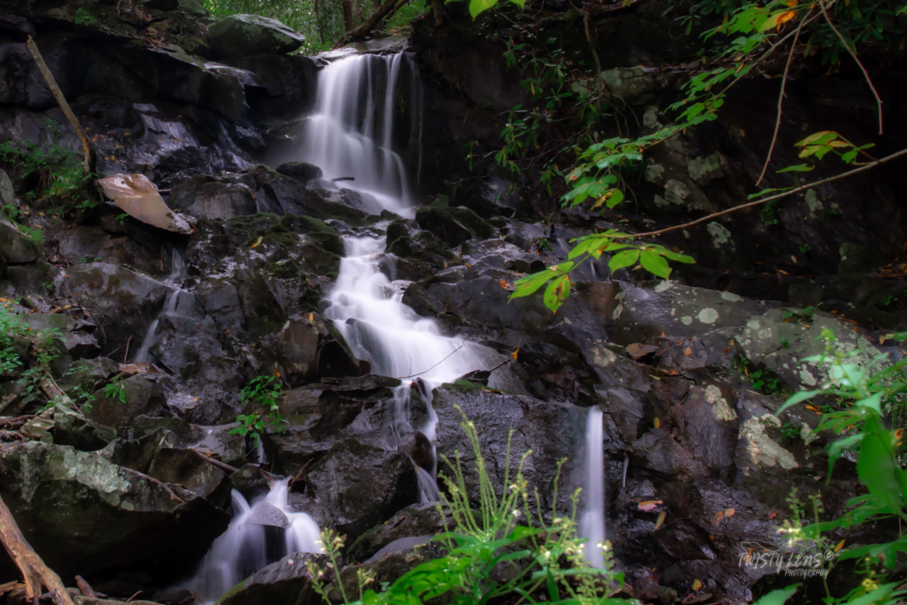DSE_8325-Edit.jpg