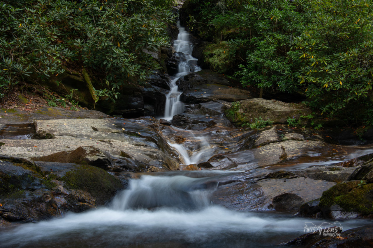 DSF_1135.jpg