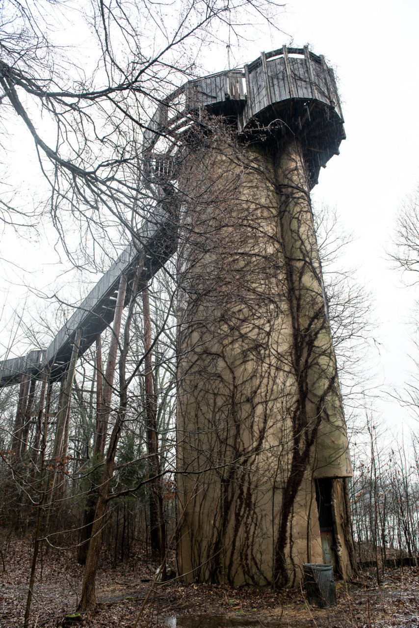 DSW_4990.jpg