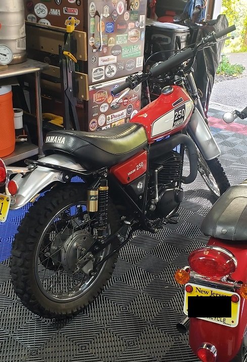 DT250.jpg