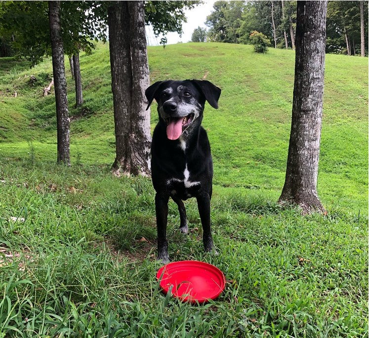 Duce frisbee 3 - Copy.jpg