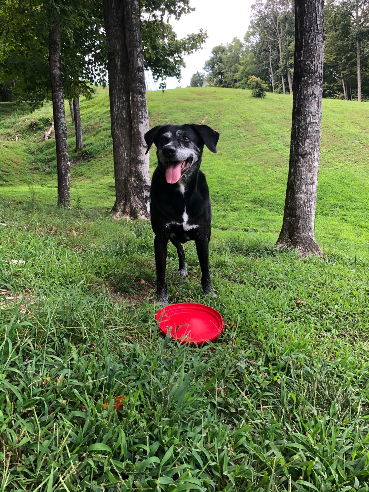 Duce frisbee.jpg