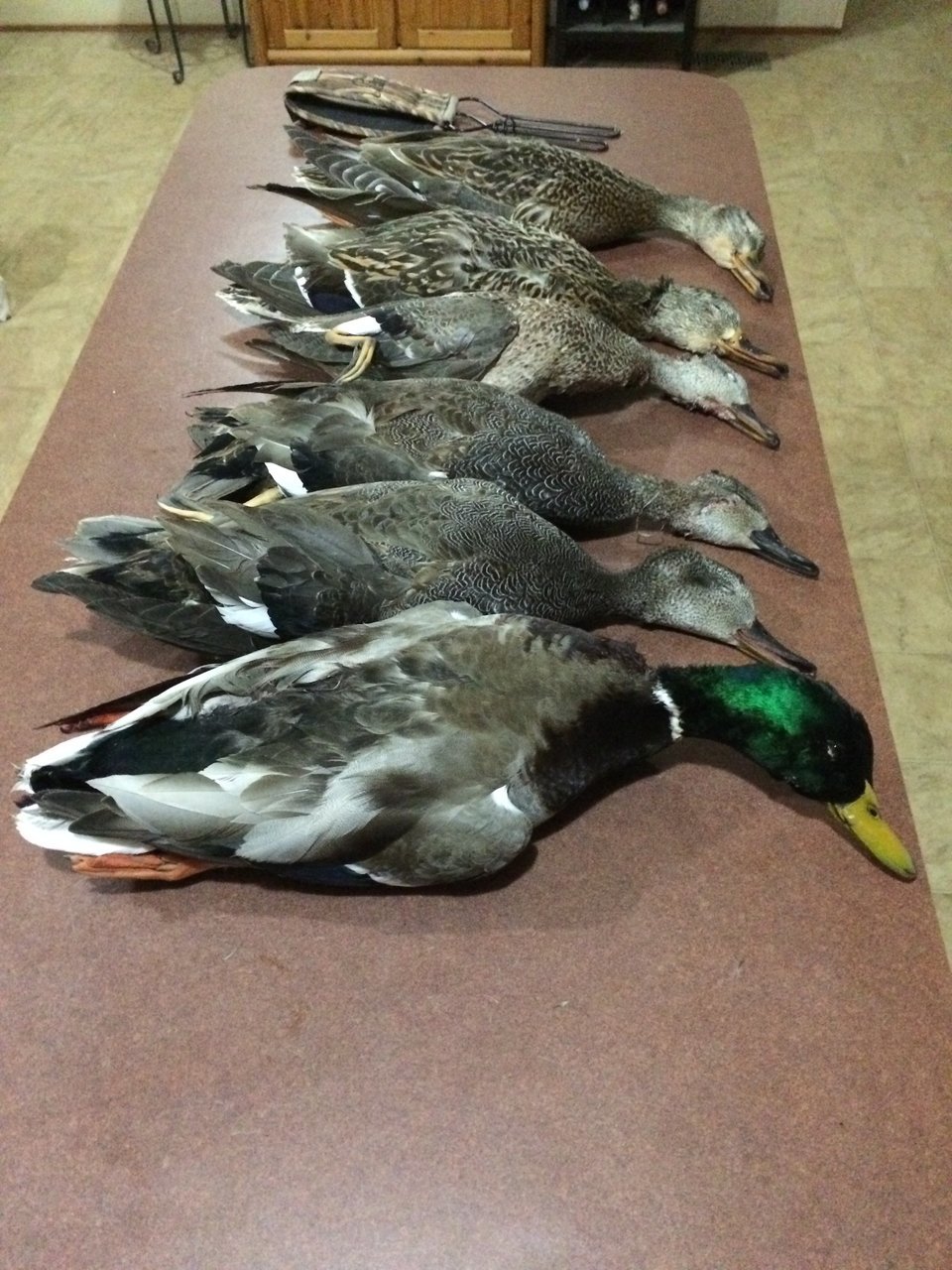 DUCK HUNT DECEMBER 14th 2017.jpg