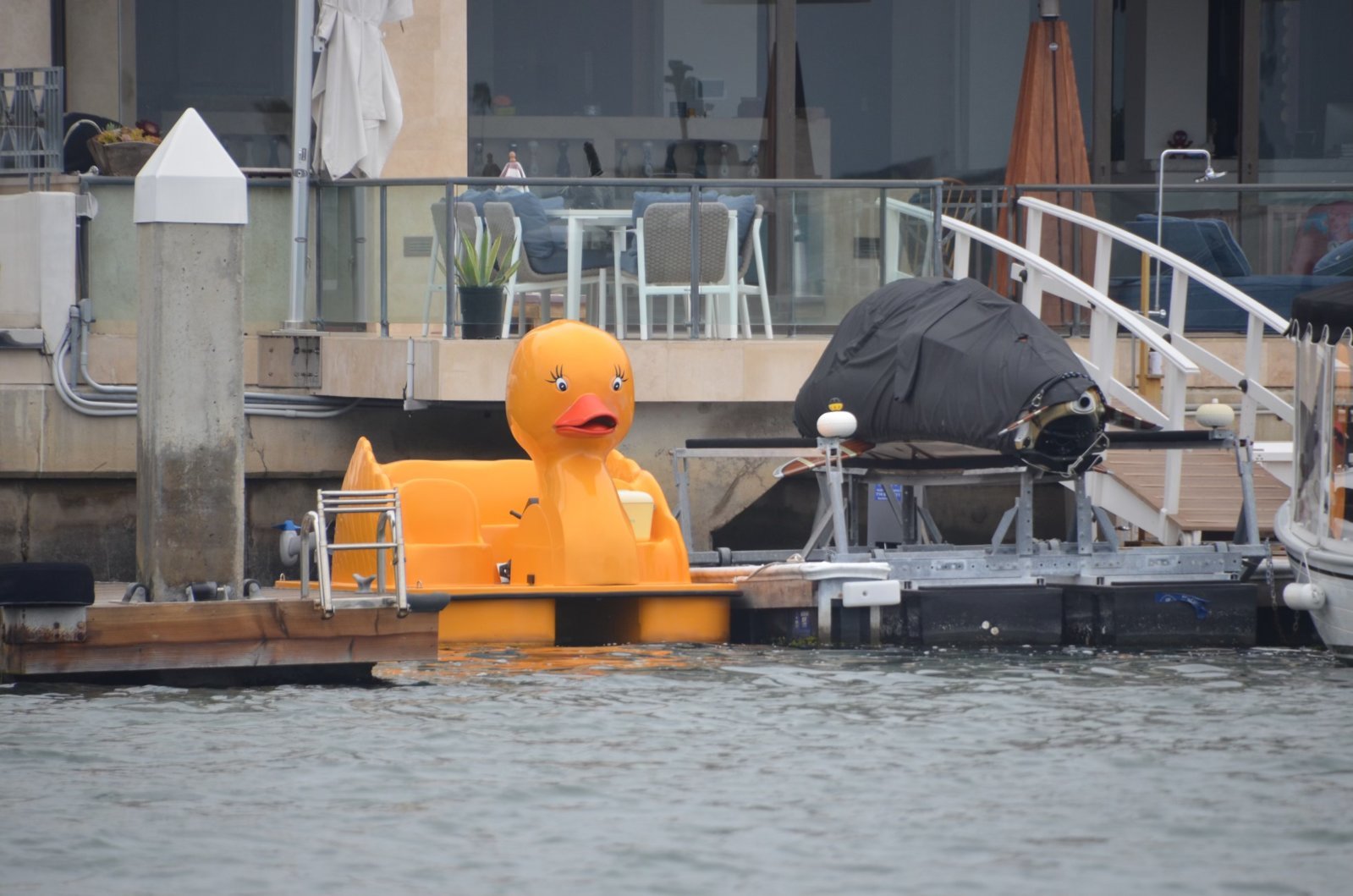 duckie.jpg