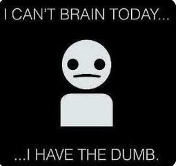 dumb.jpg