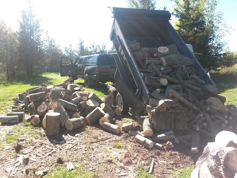 Dump_wood_1.jpg