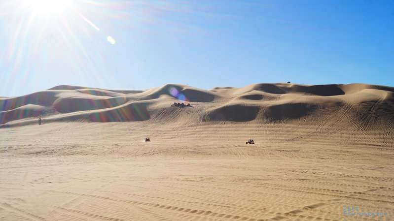 dunes_2.jpg