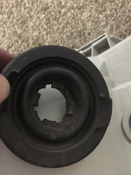 DustBoot2.jpg