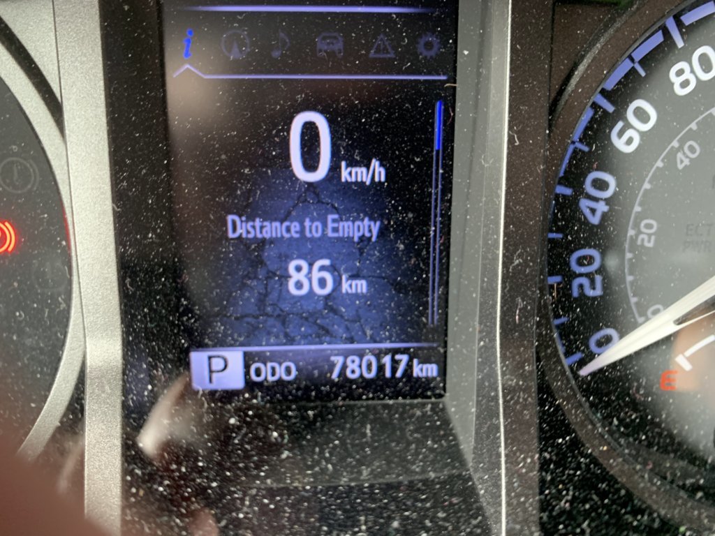 Dusty Guage IMG_3276.jpg