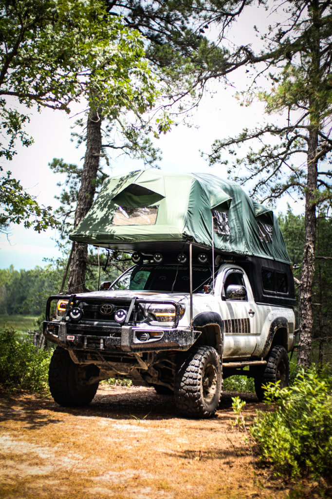 Dusty Pines trip-1.jpg