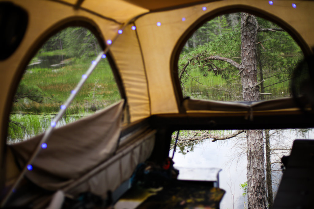 Dusty Pines trip-10.jpg