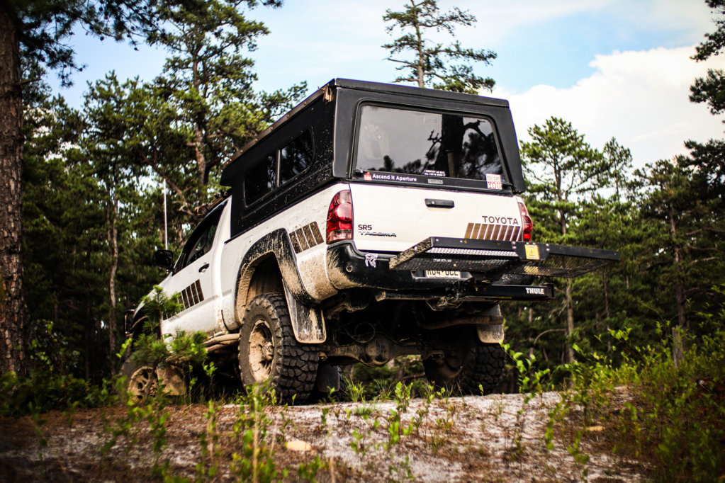 Dusty Pines trip-3.jpg