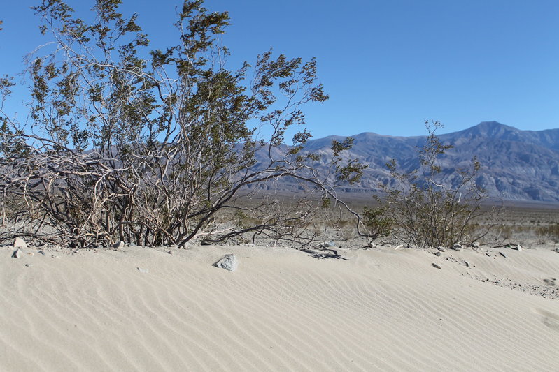 DV,UT,NV 2015 013.jpg