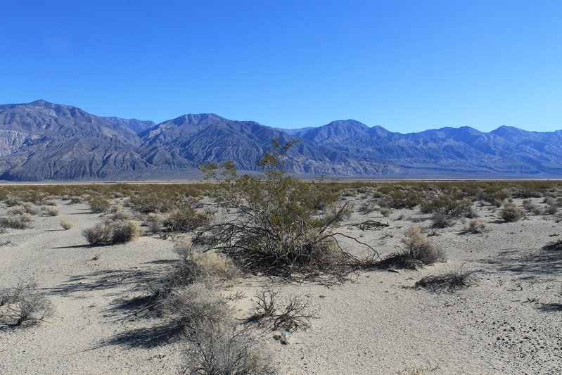 DV,UT,NV 2015 018.jpg