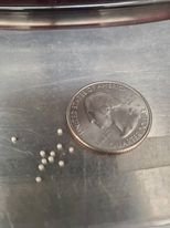 Dynabeads.jpg