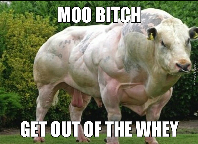 dyo-even-lift-bruh_o_4923493.jpg