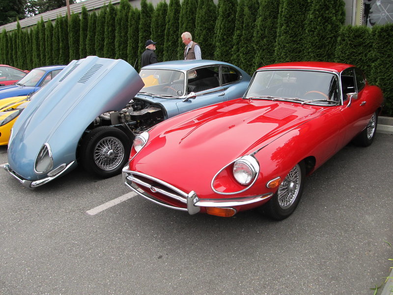 E types.jpg