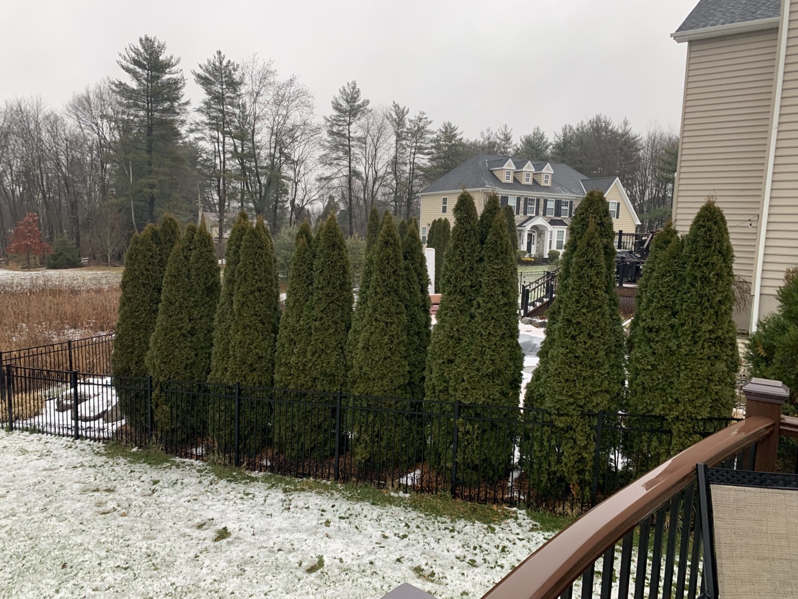 E0257F2B-1956-4CAA-BCAF-B3BF2BD01DEC.jpg