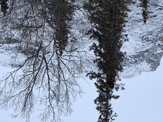 E04551D9-B9C0-4BB8-9F5E-0613CB784D66.jpg