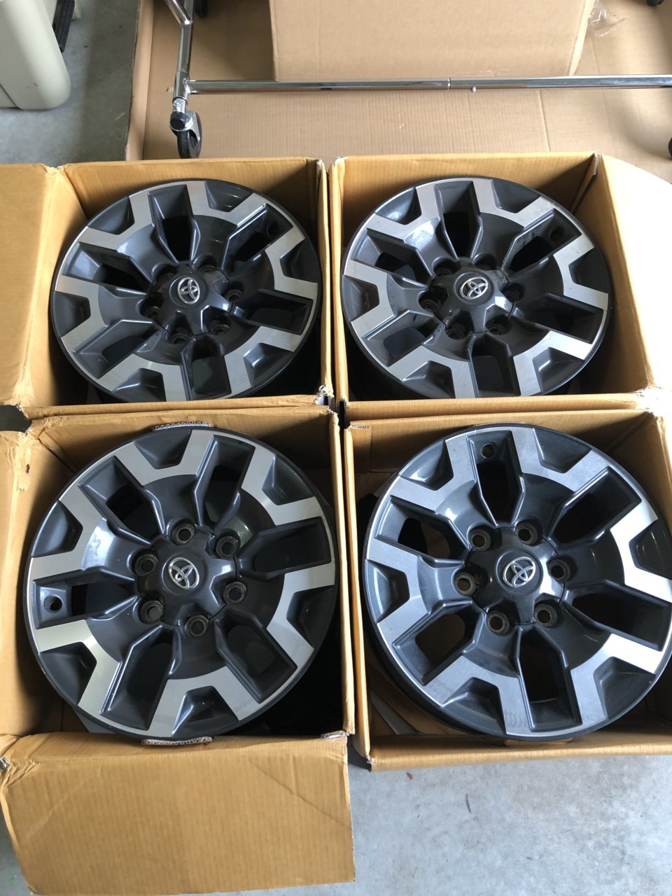 E07CB35E-ACAD-4BAF-954B-0411E4798FE1.jpg