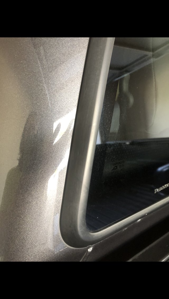 Tacoma trim mold cleaning | Tacoma World