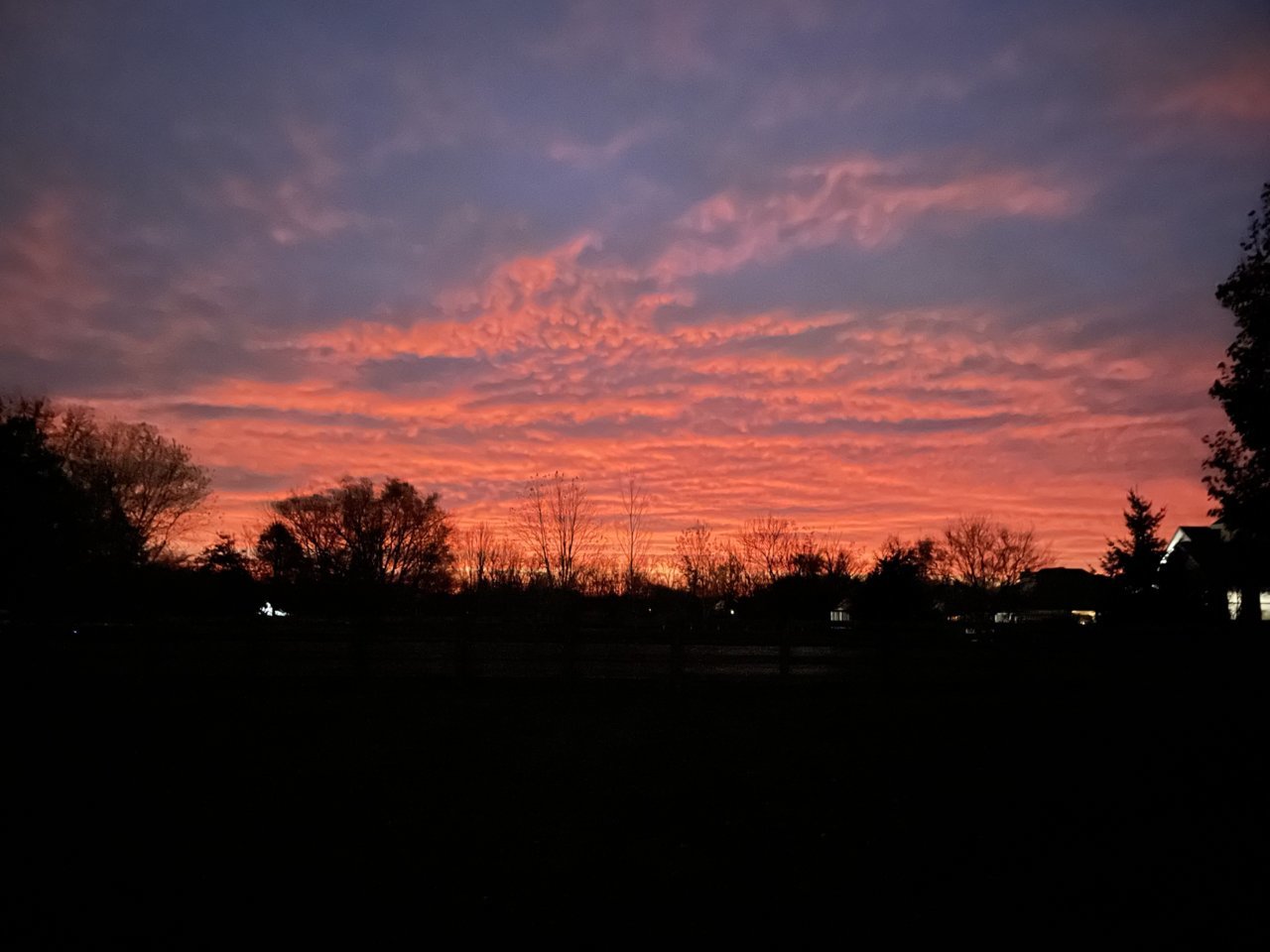 E0B4B878-BDC9-4EB6-B0A2-78DACF9A272E.jpg