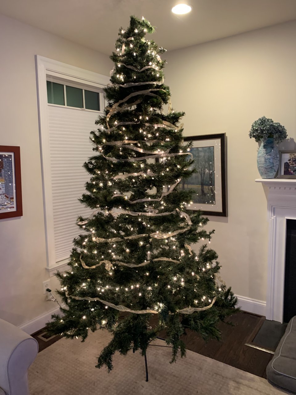 E0E78913-ED66-40FD-8A98-CF979B1323FE.jpg